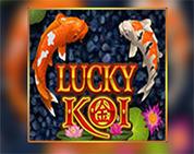 Lucky Koi